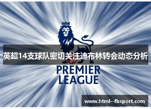 英超14支球队密切关注迪布林转会动态分析