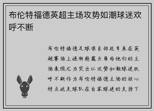 布伦特福德英超主场攻势如潮球迷欢呼不断